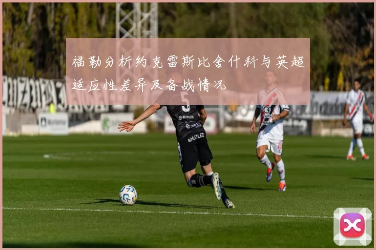 福勒分析约克雷斯比舍什科与英超适应性差异及备战情况