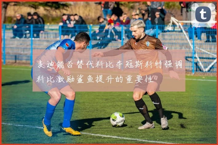 麦迪能否替代科比夺冠斯科特强调科比激励鲨鱼提升的重要性